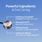 Muscle Memory: Supercharged Creatine Powder