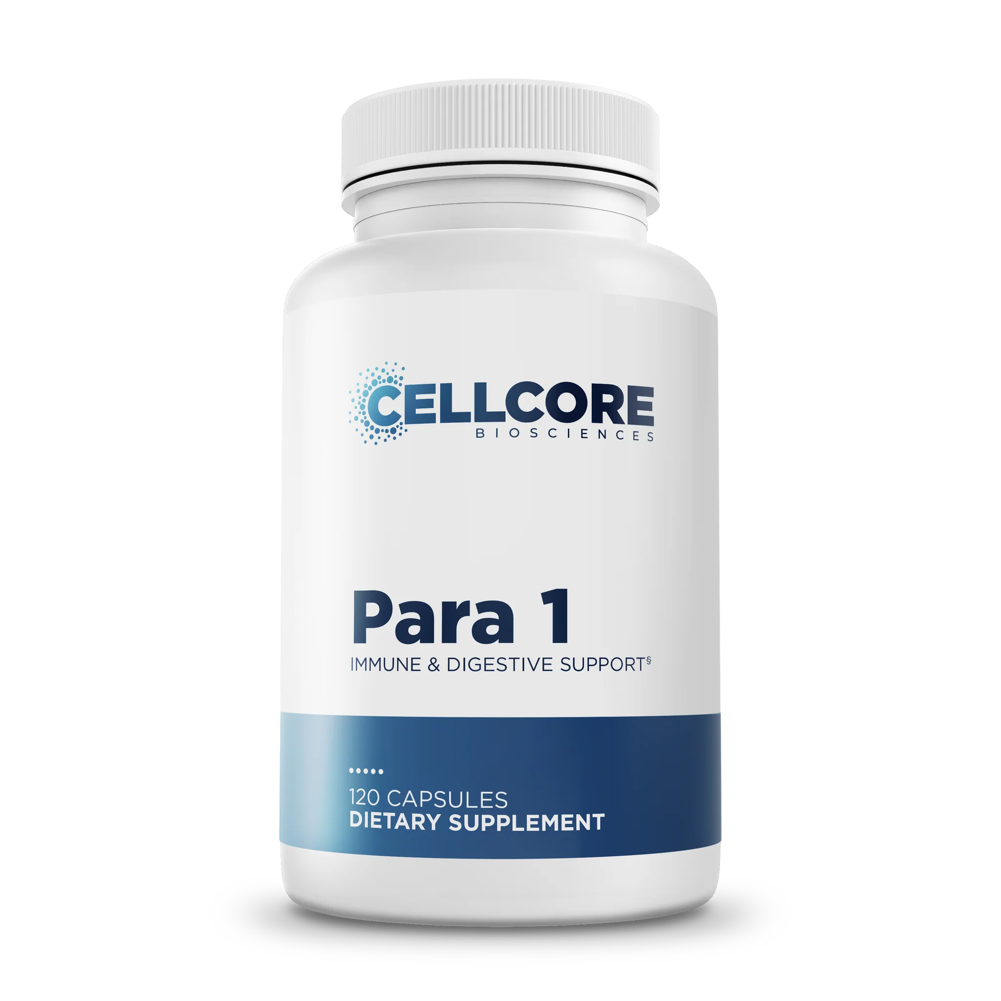 Para 1