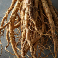 Asian Ginseng